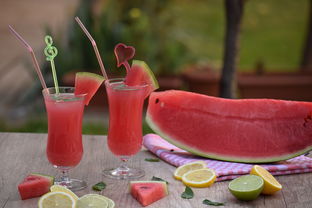 清涼一夏 自制水果冰沙與玻璃飲品，盡享健康美味